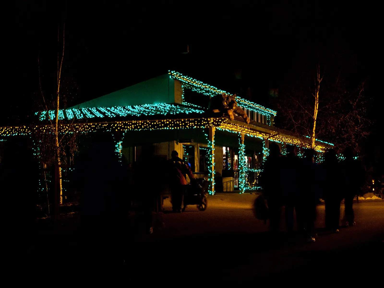 A Calgary Zoo building lit up for the annual ZooLights display
