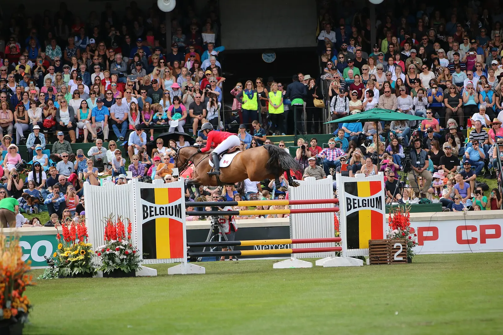 A show jumper clearing a fence in front of a packed grandstand at Spruce Meadows